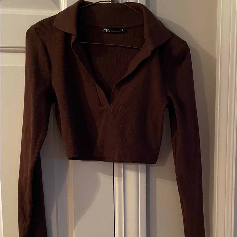 Zara Women's Dark Brown Crop Top